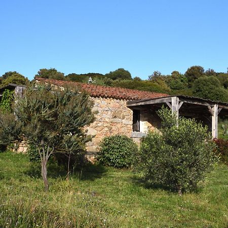 Casa Lysandra Serra-di-Ferro  Exterior photo